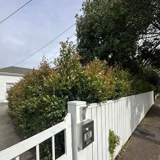 Section clean-up and rubbish removal
