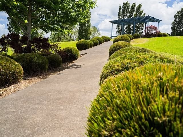 Landscaped garden bed with manicured hedges